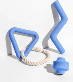 Wild One – Speelset Hond – Modern – Rubber Hondenspeeltje – Blauw