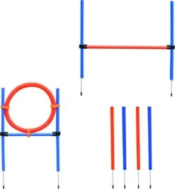 PawHut Honden Behendigheid Tunnel Slalom Oefening Hondensport Training Hordenset 2 Modellen D07-002