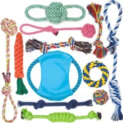 Honden Speeltjes Set – 12 Stuks – Hondenspeeltje – Hondenspeelgoed – One Size – Multicolor – Intelligentie – Speelset Honden