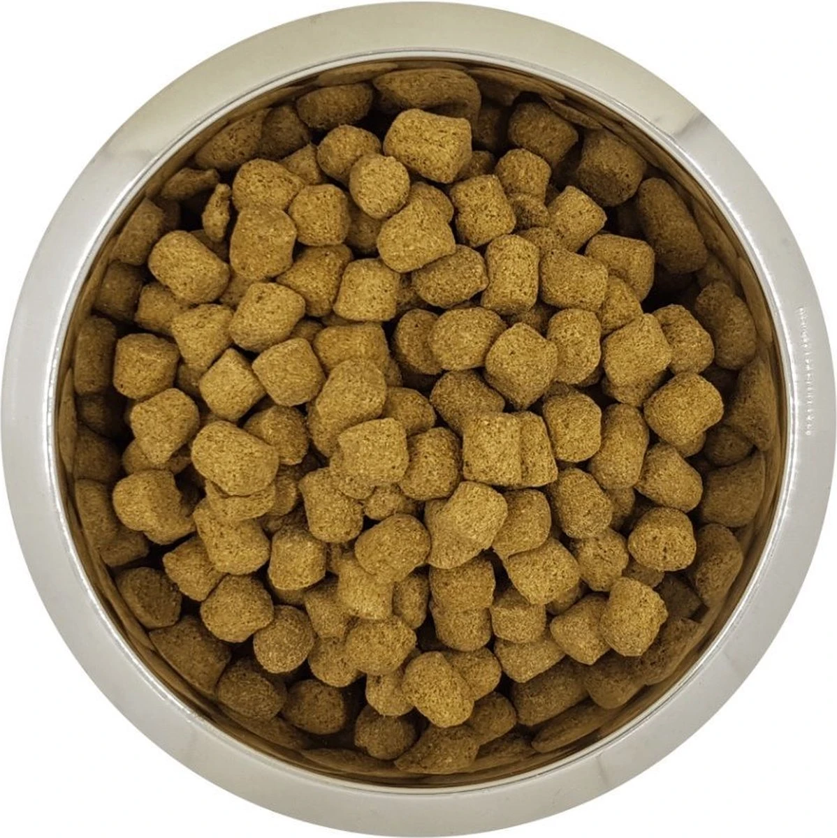 Koningspoedel 1 Koningspoedel