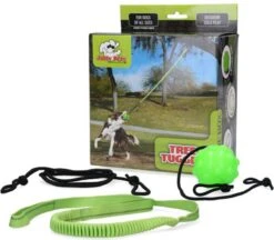 Jolly Pets Jolly Tree Tugger – Hondenspeelgoed – Ideaal Voor Solospel! – Geschikt Voor Iedere Hond – Speelbal Aan Koord – Groen