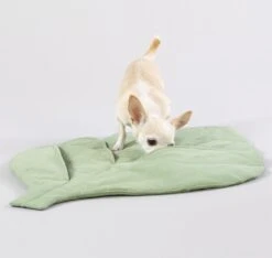 Paikka Speel & Snuffel Mat Hond