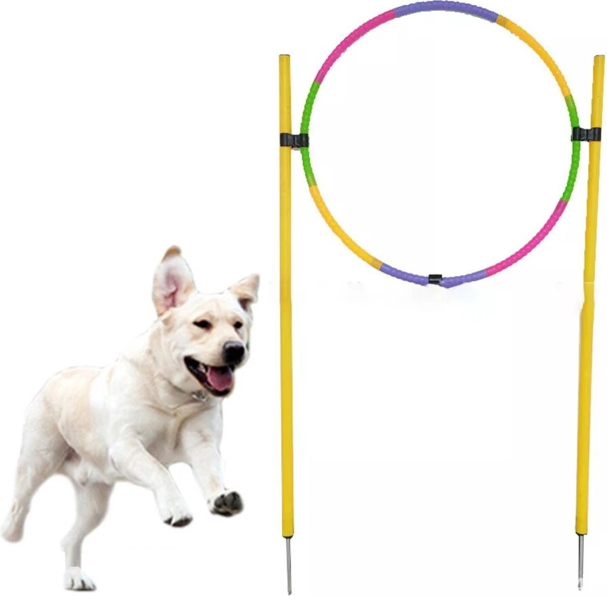 Agility Voor De Hond – Hoepel Springen – Honden Training -Slalom Hond Trainen – Behendigheid Spel 1 Agility Voor De Hond – Hoepel Springen – Honden Training -Slalom Hond Trainen – Behendigheid Spel