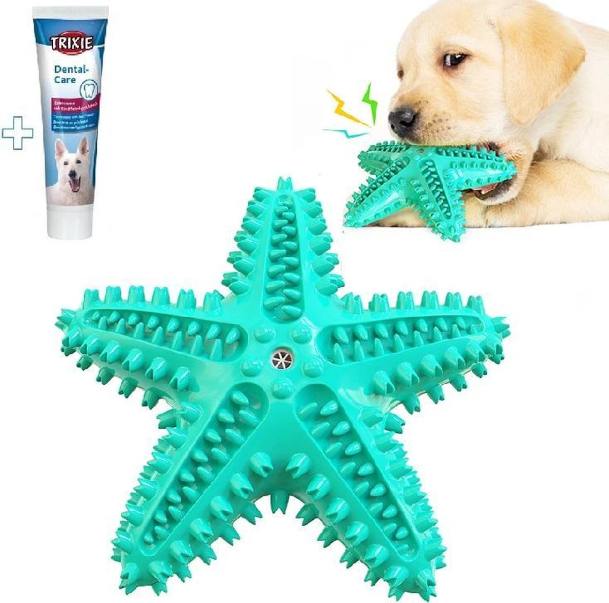 Tandenborstel + TANDPASTA Hond Piep Honden Speelgoed Dog Toy – Zeester Blauw Tandverzorging Kauwbotten Hondenspeelgoed Hondenbot Kauwstaaf Tanden Puppy Hondenspeeltje Sterk Kauwspeelgoed – Dutchwide 1 Tandenborstel + TANDPASTA Hond Piep Honden Speelgoed Dog Toy – Zeester Blauw Tandverzorging Kauwbotten Hondenspeelgoed Hondenbot Kauwstaaf Tanden Puppy Hondenspeeltje Sterk Kauwspeelgoed – Dutchwide