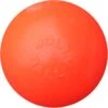 Jolly Ball Bounce-n Play – Honden Speelbal Met Vanillegeur – De Perfecte Stuiterbal – Bijtbestendig – Oranje – Ø 15 Cm