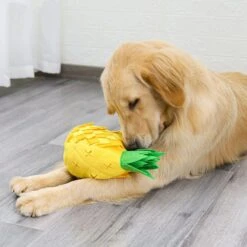 Honden Speelgoed – Snuffelmat – Ananas – Interactieve Honden Puzzel – Snuffel Training – IQ Training – Intelligentiespeelgoed – Snuffelen – Huisdier – Brokjes Zoeken – Hondenlekkernij Zoeken – Ontspanning – Training –