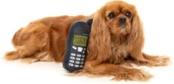 FuzzYard Pluche Nokia – Nokidog – Speelgoed Voor Honden