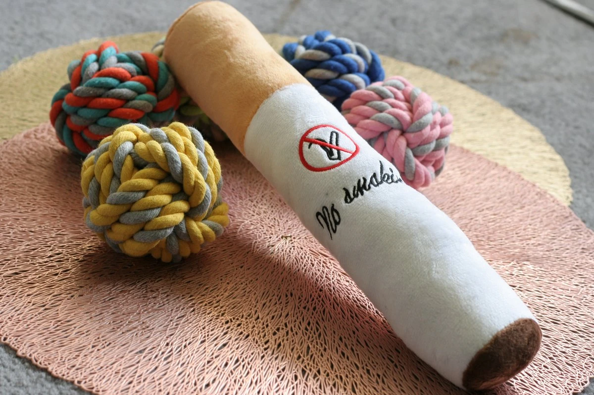 Honden Speelgoed Set – Honden Bal – Knuffel Voor Hond – Speeltjes Voor De Hond – Honden Speelgoed – Honden Speeltjes – Honden Speelset 1 Honden Speelgoed Set – Honden Bal – Knuffel Voor Hond – Speeltjes Voor De Hond – Honden Speelgoed – Honden Speeltjes – Honden Speelset