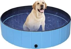 Dog Pool | Zwembad Voor Honden | Hondenzwembad | Opvouwbaar | Puppy | Kitten |Kat | Huisdier | Blauw