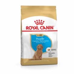 Royal Canin Poodle – Puppy-Hondenvoer – 3 Kg