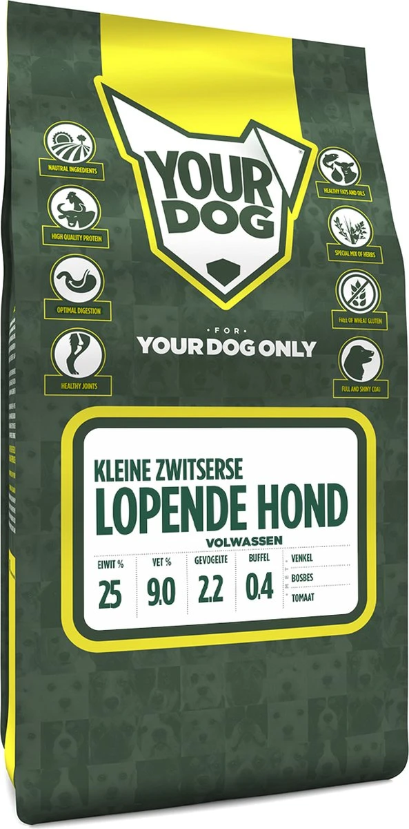 Yourdog Kleine Zwitserse Lopende Hond Volwassen (3 KG) 1 Yourdog Kleine Zwitserse Lopende Hond Volwassen (3 KG)