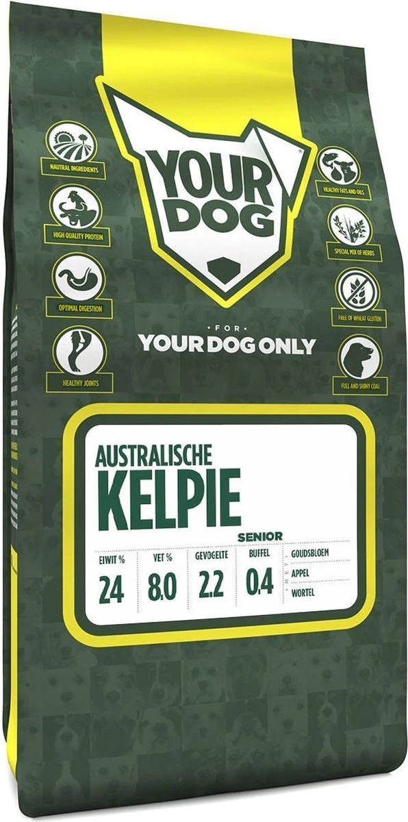 Australische Kelpie 1 Australische Kelpie