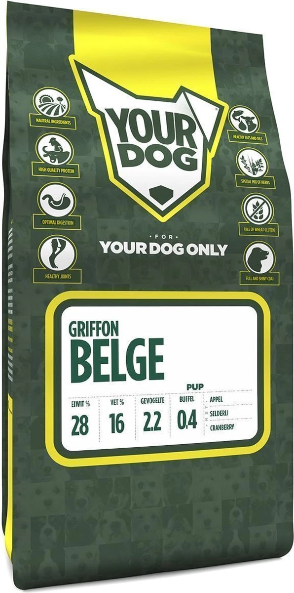 Griffon Belge 1 Griffon Belge