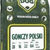 Gonczy Polski