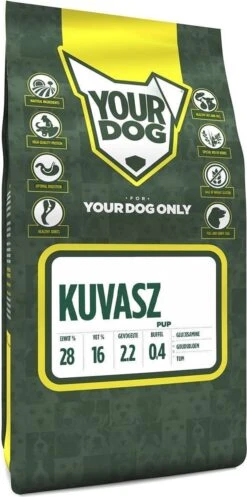 Kuvasz