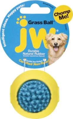 JW Grass Ball – Snoepjes Bal – Tandvlees Massage – Vanille Geur – Voor Kleine Honden – Duurzaam Rubber