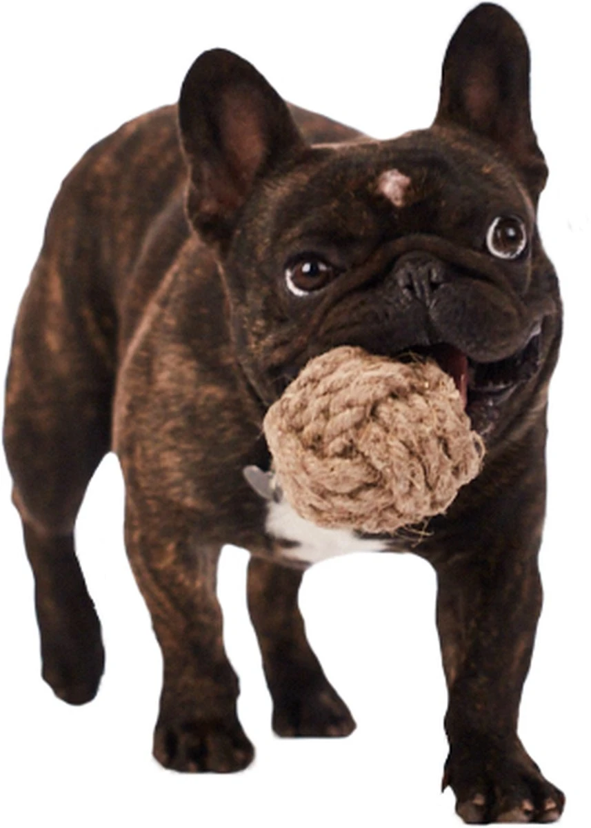 Henneptouwbal – Bal – Maat S – 100% Natuurlijk – Duurzaam – Ecologisch En Veilig Speelgoed Voor Je Hond -handgemaakt In EU 1 Henneptouwbal – Bal – Maat S – 100% Natuurlijk – Duurzaam – Ecologisch En Veilig Speelgoed Voor Je Hond -handgemaakt In EU