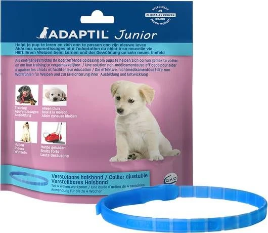 Adaptil Junior Halsband Anti Stressmiddel 37 Cm Lichtblauw Transparant Per Stuk < 6mnd 1 Adaptil Junior Halsband Anti Stressmiddel 37 Cm Lichtblauw Transparant Per Stuk < 6mnd
