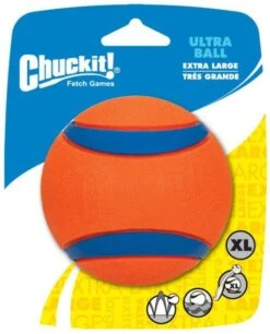 Chuckit! Chuckit Ultra Ball Hondenspeelgoed Ø9 Cm Oranje Blauw -Huisdierbenodigdheden chuckit ultra ball 1 pack 9 cm 56391