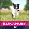 Eukanuba Puppy Small Medium Met Lam & Rijst Hondenvoer 2 X 2, 5 Kg