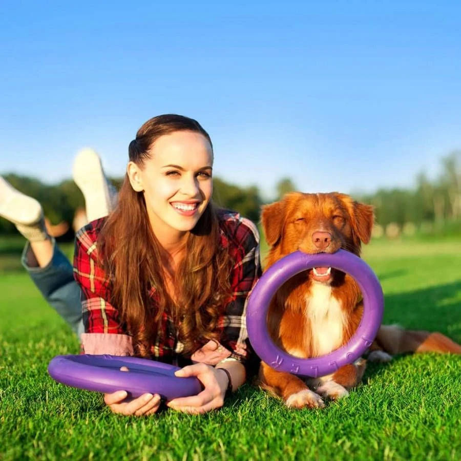 Ferplast Hondenfitnessaccessoire Puller Standard 2 St Paars 1 Ferplast Hondenfitnessaccessoire Puller Standard 2 St Paars