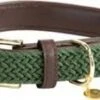 KENTUCKY DOGWEAR Nylon Gevlochten M Olive Green 50 Cm