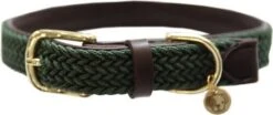 KENTUCKY DOGWEAR Nylon Gevlochten M Olive Green 50 Cm 7 KENTUCKY DOGWEAR Nylon Gevlochten M Olive Green 50 Cm -Huisdierbenodigdheden kentucky horsewear kentucky gevlochten nylon hondenhalsband 56492