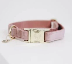 KENTUCKY DOGWEAR Velvet XS Oud Roze 11 KENTUCKY DOGWEAR Velvet XS Oud Roze -Huisdierbenodigdheden kentucky horsewear kentucky hondenhalsband velvet 67265