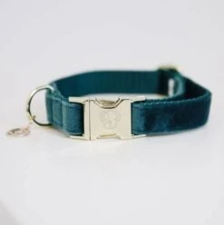 KENTUCKY DOGWEAR Velvet XS Emerald 9 KENTUCKY DOGWEAR Velvet XS Emerald -Huisdierbenodigdheden kentucky horsewear kentucky hondenhalsband velvet 67267