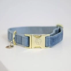 KENTUCKY DOGWEAR Velvet XXS Licht Blauw 11 KENTUCKY DOGWEAR Velvet XXS Licht Blauw -Huisdierbenodigdheden kentucky horsewear kentucky hondenhalsband velvet 69796