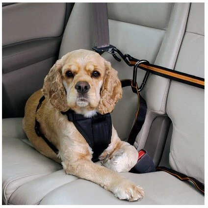 WOHI Kurgo Zipline Voor In De Auto Met Band 4 WOHI Kurgo Zipline Voor In De Auto Met Band - Afbeelding 4