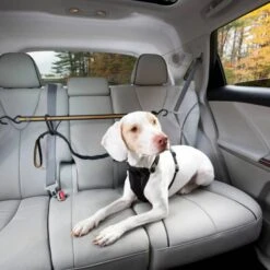WOHI Kurgo Zipline Voor In De Auto Met Band 6 WOHI Kurgo Zipline Voor In De Auto Met Band -Huisdierbenodigdheden kurgo zipline voor in de auto met band 245434
