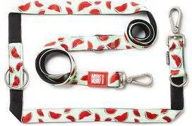 Max & Molly Multifunctionele Hondenlijn Watermelon200cm Lang 15mm Breed 2 Max & Molly Multifunctionele Hondenlijn Watermelon200cm Lang 15mm Breed - Afbeelding 2