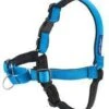 PetSafe Hondentuigje Easy Walk Deluxe 36 46 Cm Nylon Blauw