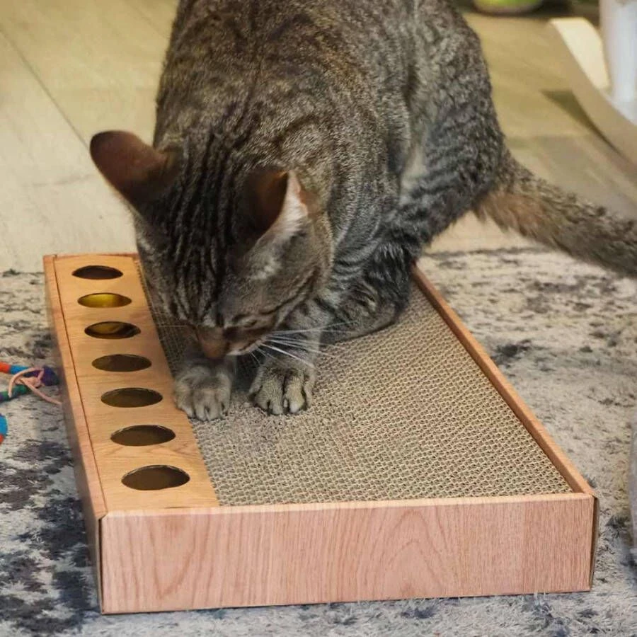 Quapas! Kattenkrabber Vote 30x26x15 Cm 4 Quapas! Kattenkrabber Vote 30x26x15 Cm - Afbeelding 4