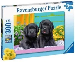 Ravensburger Puzzel 300 Stukjes Xxl Zwarte Labradors