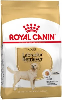 Royal Canin Breed 2x12kg Labrador Retriever Adult Hondenvoer 17 Royal Canin Breed 2x12kg Labrador Retriever Adult Hondenvoer -Huisdierbenodigdheden royal canin breed 12kg labrador retriever adult hondenvoer 106830