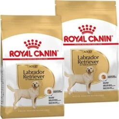 Royal Canin Breed 2x12kg Labrador Retriever Adult Hondenvoer 12 Royal Canin Breed 2x12kg Labrador Retriever Adult Hondenvoer -Huisdierbenodigdheden royal canin breed royal canin adult labrador retriever hondenvoer 2 x 12 kg 179