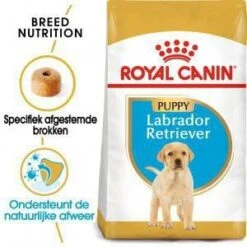 Royal Canin Breed 2x12kg Labrador Retriever Puppy Hondenvoer -Huisdierbenodigdheden royal canin breed royal canin puppy labrador retriever hondenvoer 3 kg 9774