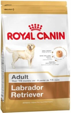 Royal Canin Breed 2x12kg Labrador Retriever Adult Hondenvoer 16 Royal Canin Breed 2x12kg Labrador Retriever Adult Hondenvoer -Huisdierbenodigdheden royal canin labrador retriever adult 12 kg 45657
