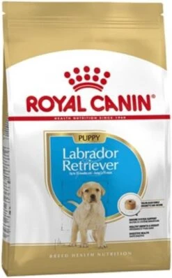 Royal Canin Breed 2x12kg Labrador Retriever Puppy Hondenvoer -Huisdierbenodigdheden royal canin labrador retriever junior 12 kg 41656
