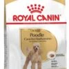 Royal Canin Breed 2x7, 5kg Poodle Adult Hondenvoer