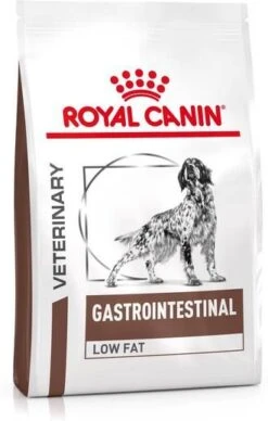 Royal Canin Veterinary Diet Gastro Intestinal Low Fat Hondenvoer 1500 G 13 Royal Canin Veterinary Diet Gastro Intestinal Low Fat Hondenvoer 1500 G -Huisdierbenodigdheden royal canin veterinary diet gastro intestinal low fat hondenvoer 1500 g 36473