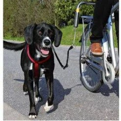 Trixie Fietsbeugel L Vorm En/of Zadelpenbeugel Voor L Beugel Zadelpenbeugel Per Stuk 11 Trixie Fietsbeugel L Vorm En/of Zadelpenbeugel Voor L Beugel Zadelpenbeugel Per Stuk -Huisdierbenodigdheden trixie fiets set 14823