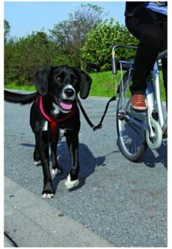 Trixie Fietsbeugel L Vorm En/of Zadelpenbeugel Voor L Beugel Zadelpenbeugel Per Stuk