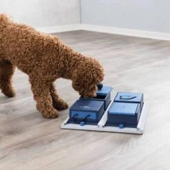 Trixie Dog Activity Poker Box 1 Strategiespel Hondenspeelgoed 31x31 Cm Donkerblauw Wit Level 2 -Huisdierbenodigdheden trixie hondenspeelgoed poker box 1 strategiespel 430428